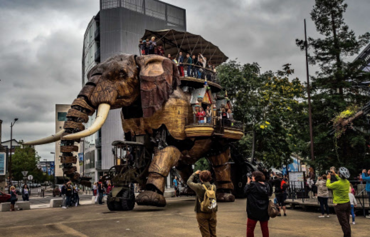 Nantes: Devenez pilote d'éléphant, c'est possible !
