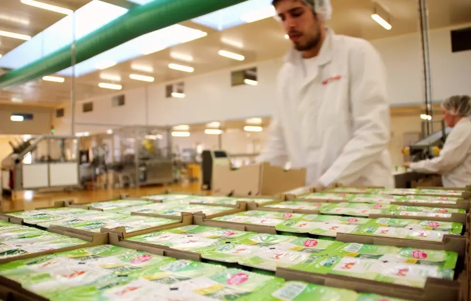 Santé, transport, propreté, agroalimentaire… ça recrute en Bretagne !