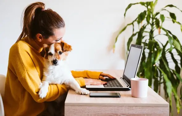 Télétravail : Les animaux adorent !