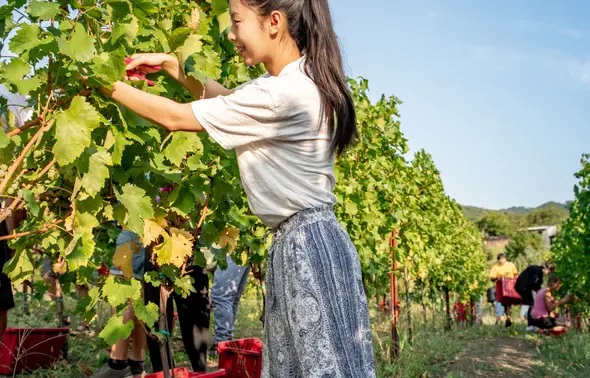 Chasse est ouverte pour les jobs d’été : C’est le moment !