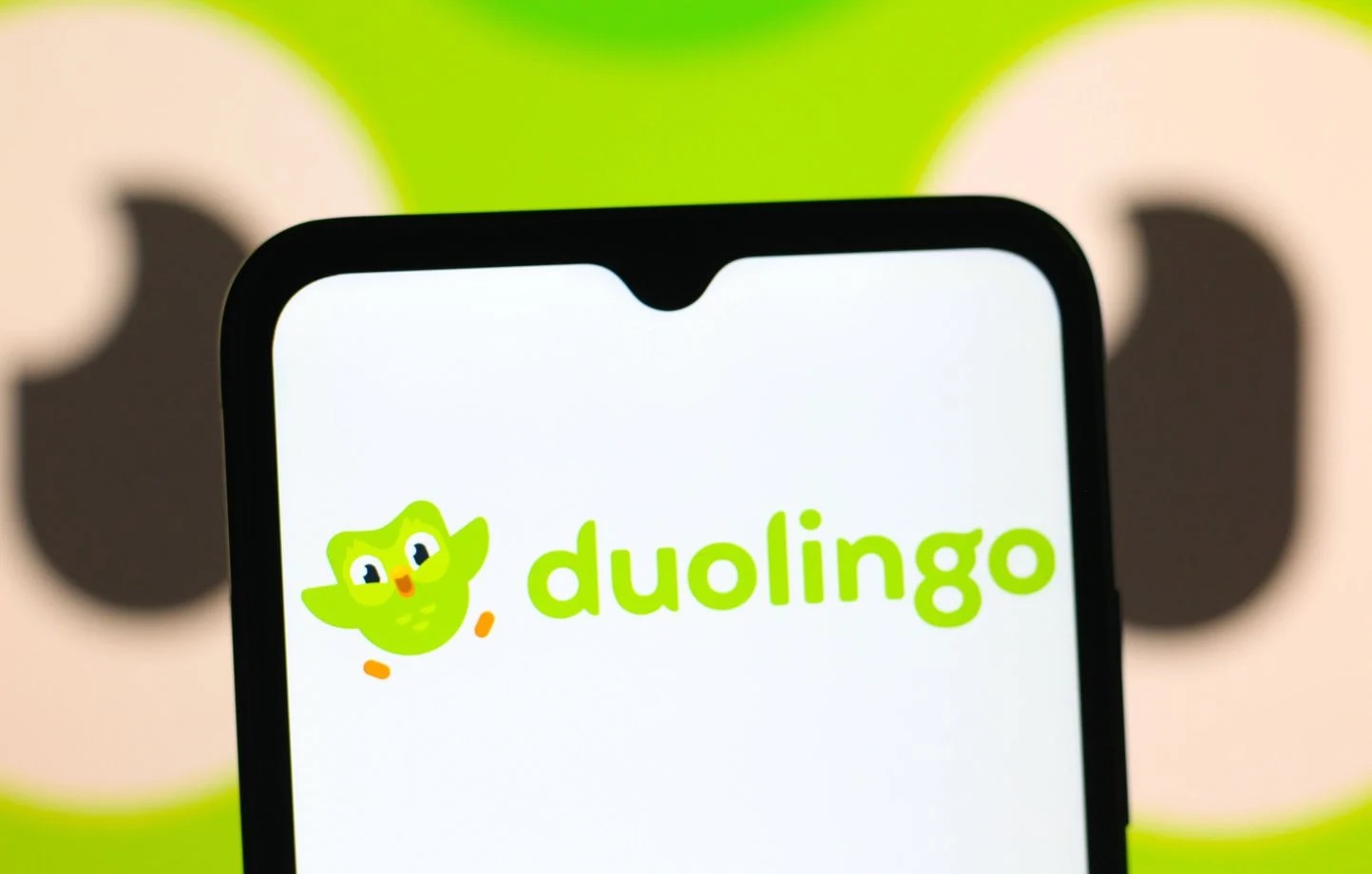 « Ludique », « efficace », « bonne méthode »… : Duolingo.