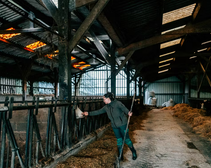 Diff&eacute;rences salariales femmes-hommes dans le priv&eacute; : l&rsquo;&eacute;cart s&rsquo;est r&eacute;duit en 2024 pour atteindre 21,8 %