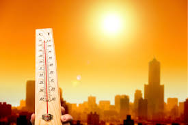 Comment s'habiller au bureau quand la météo table sur la canicule