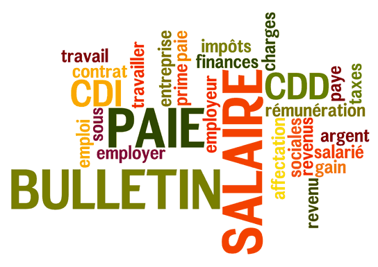 A quoi pourrait ressembler votre futur bulletin de salaire ?
